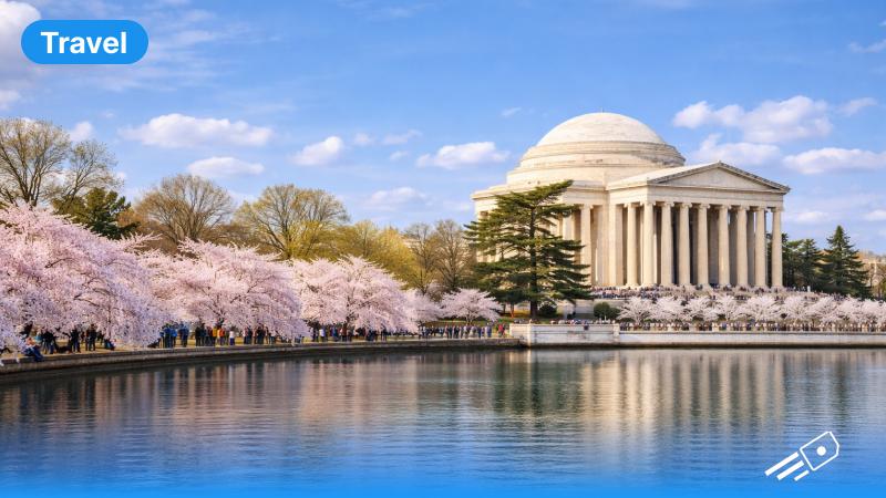 National Cherry Blossom Festival: Everything You Need to Know